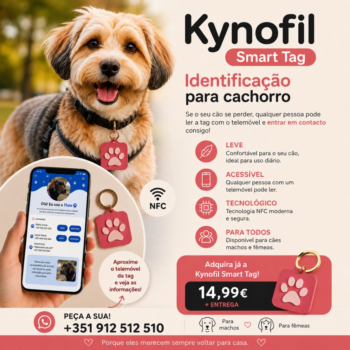 Tags para Pets