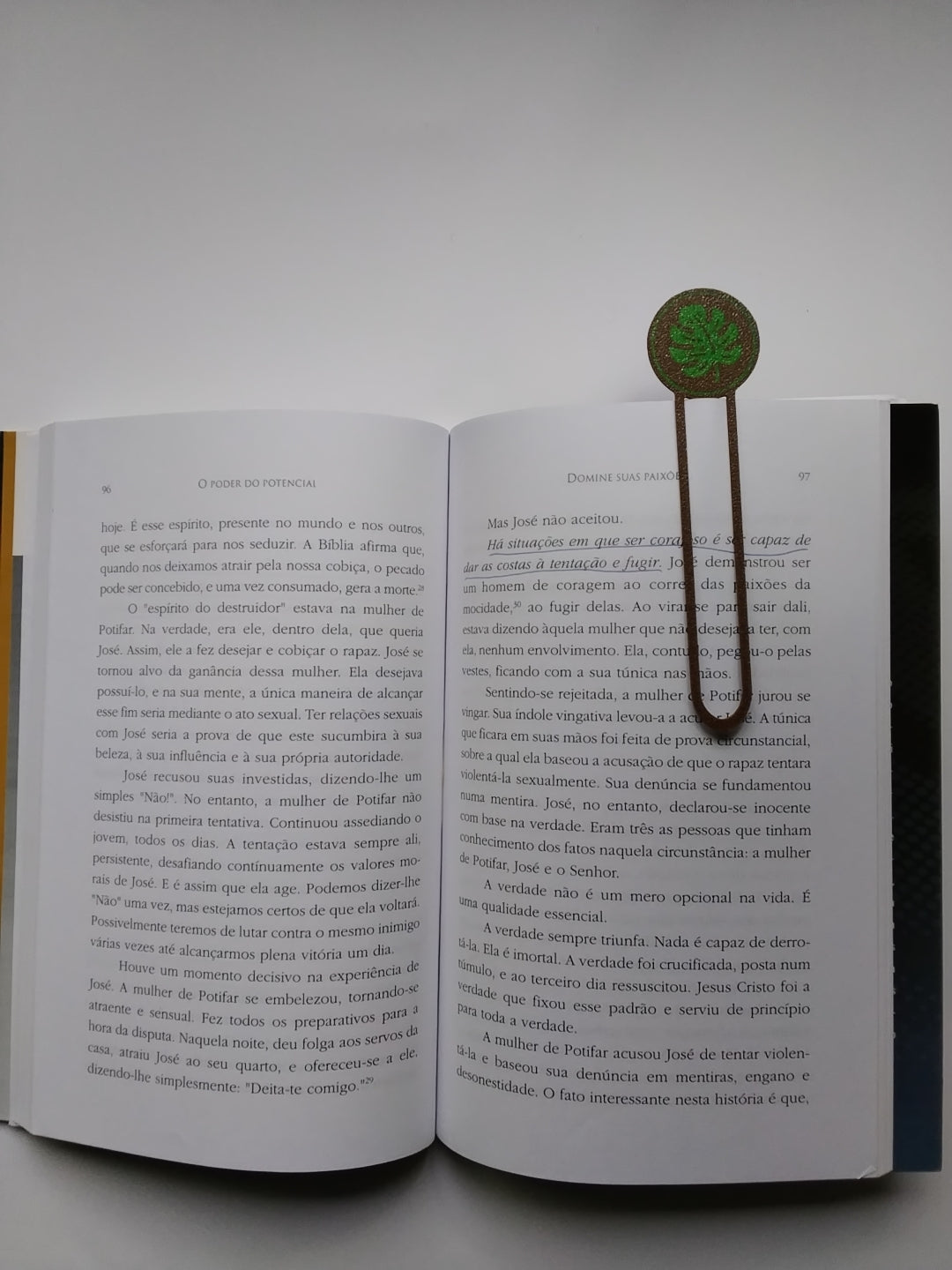 Marca Página 3D Clipe  Costela de Adão