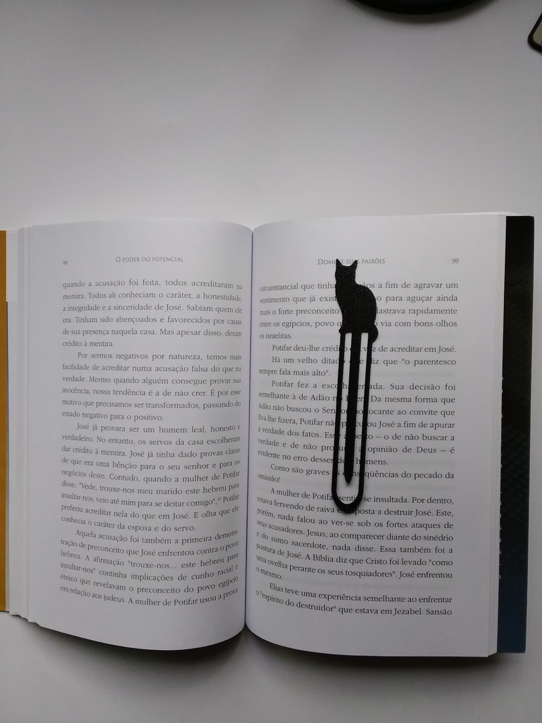 Marca Página 3 D Clipe  Gato
