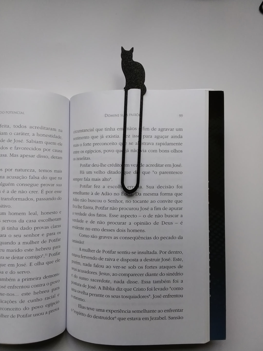 Marca Página 3 D Clipe  Gato