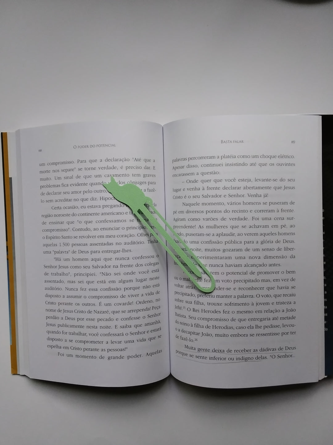 Marca Página 3 D Clipe  Gato