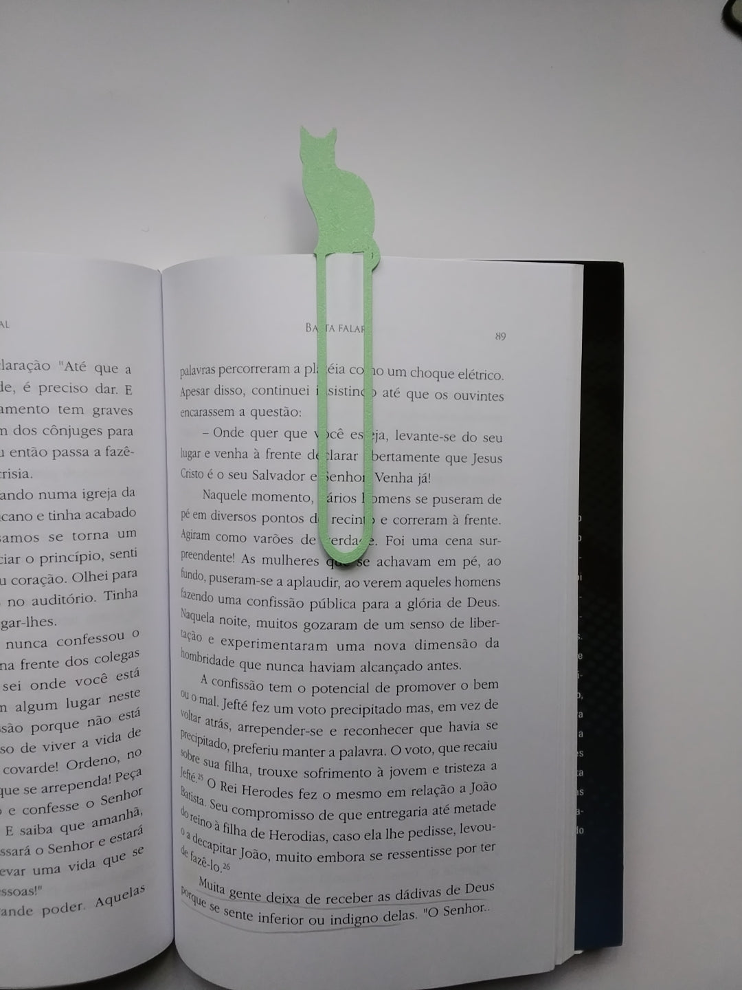 Marca Página 3 D Clipe  Gato